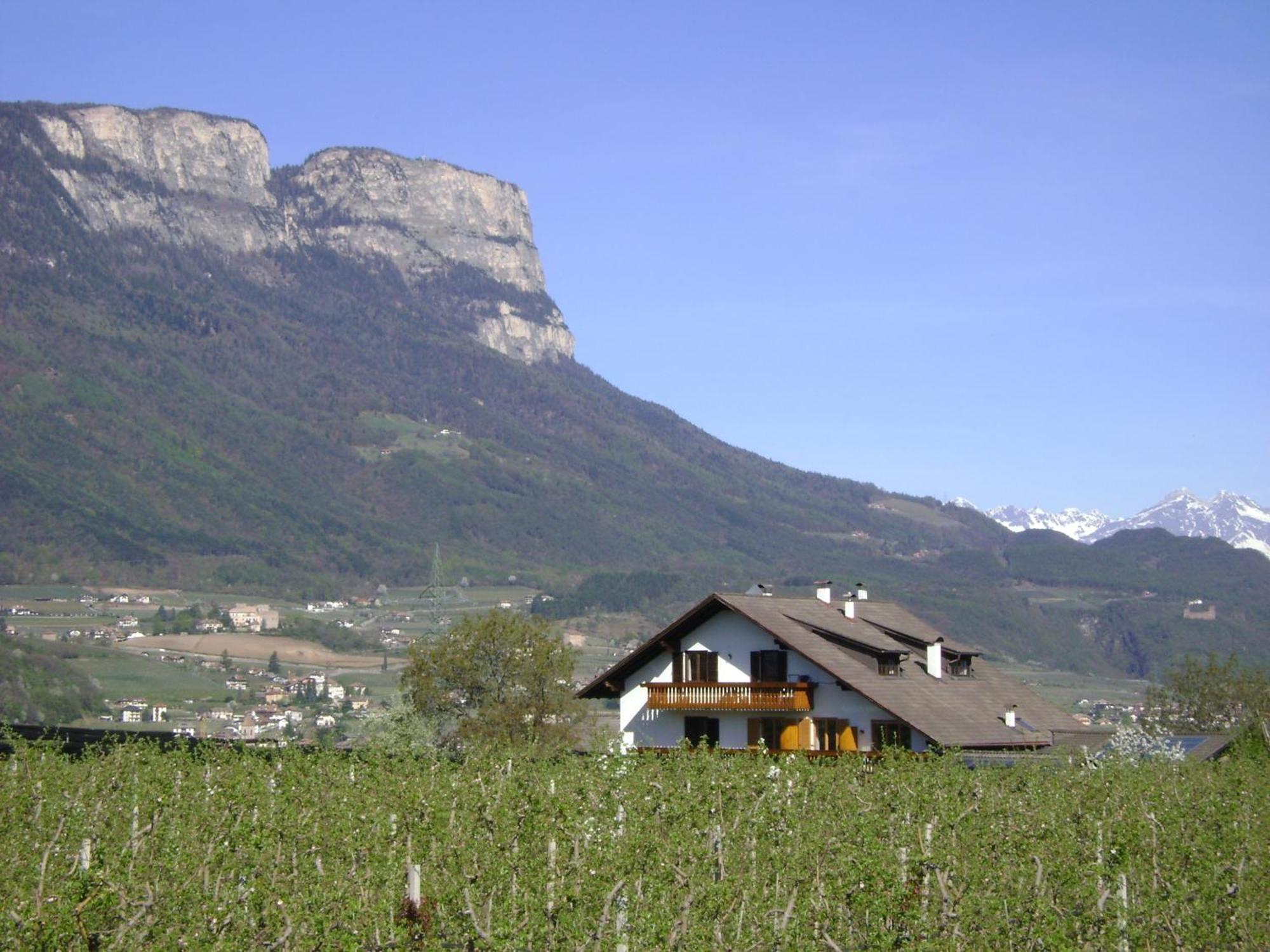 אפיאנו סולה סטרדה דל וינו Appartements Weisshauserhof מראה חיצוני תמונה